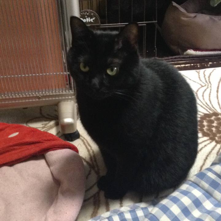 Dd48b939 0a51 4e44 aec2 a2c1f44f9a04