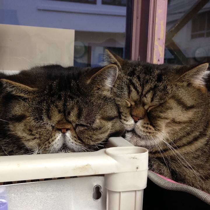 Dd48e4c3 5499 4835 80c2 a21311fa1ccf