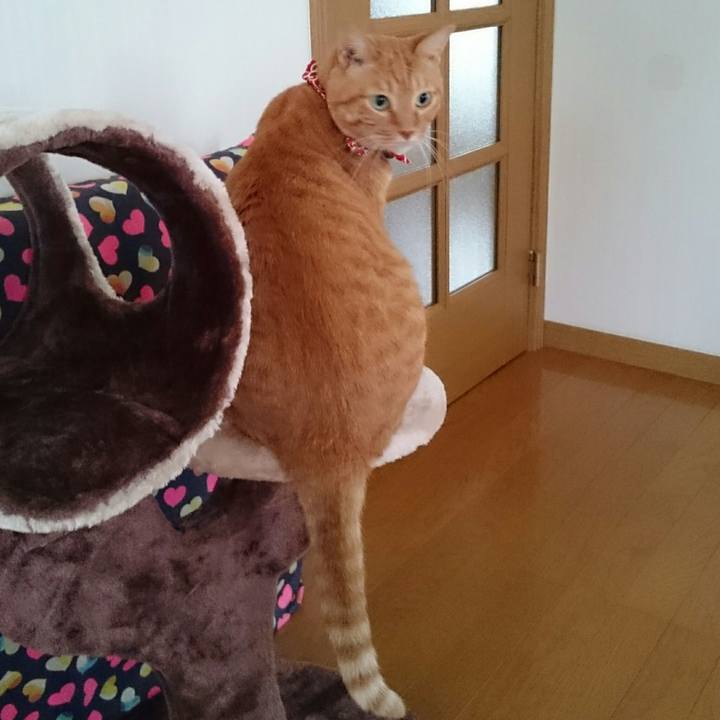 Dd48f224 4fc2 440b 8d1d 7398bc0a0c53