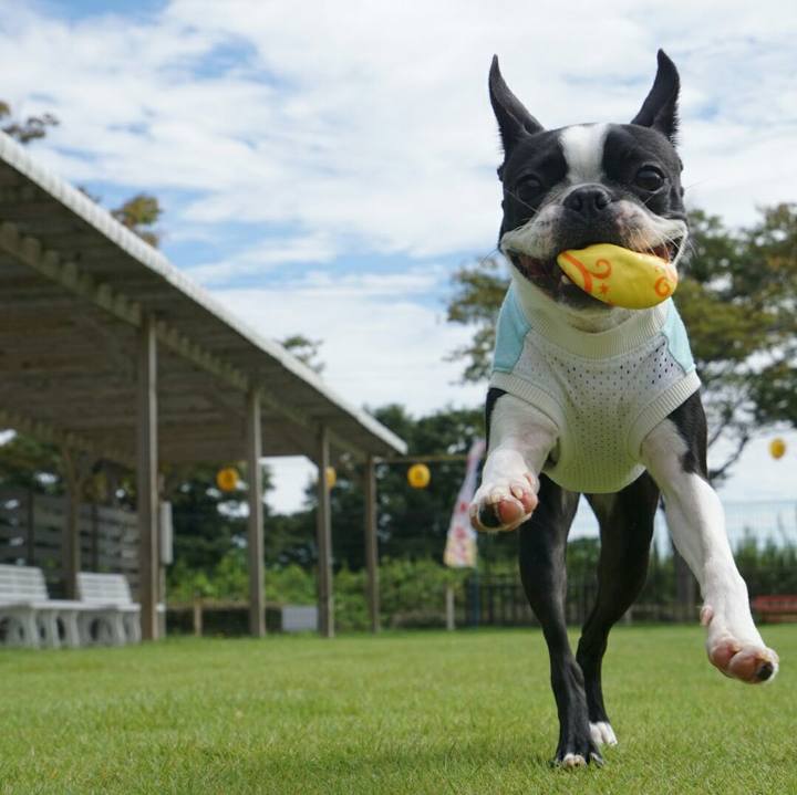 Dd490037 07ed 44b9 b90f 9fc5ba8f1b21