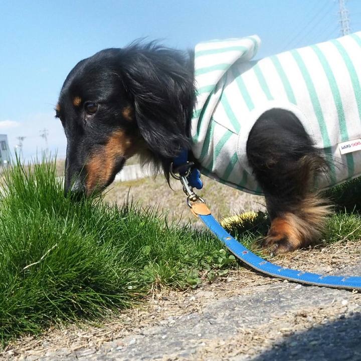 Dd4a1b62 4c67 4864 a37a b0c6654dcd5e