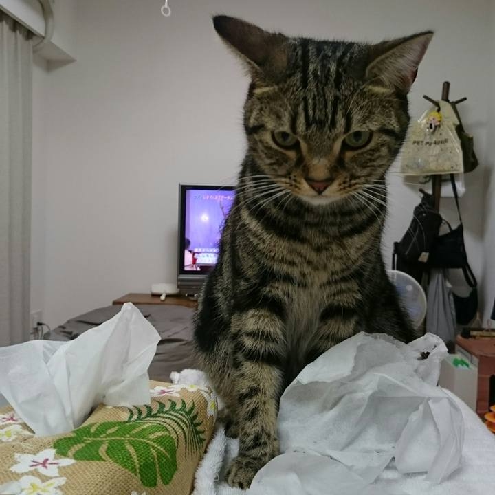 Dd4a5e33 a3c4 4f0a 9da0 3d5f61252250