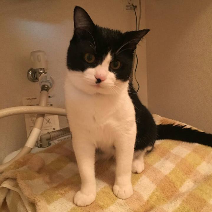 Dd4aada3 646f 477c 89a3 065cdcc67c54