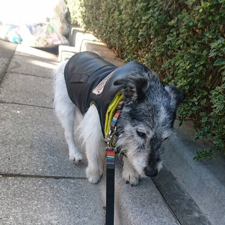 Dd4b0a85 f600 4ee9 b338 1ab3011ae16b