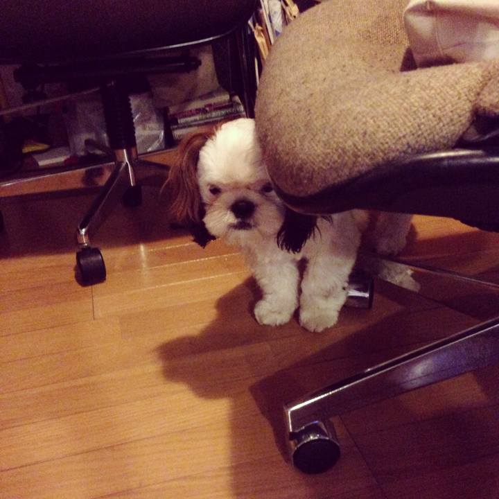 Dd4b1996 9a53 47af 9ace a1b6c1646d2a