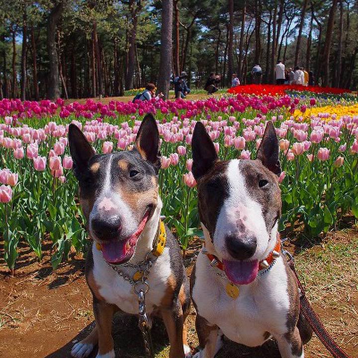 Dd4b7167 37c1 4898 800d 5fb1795537c0