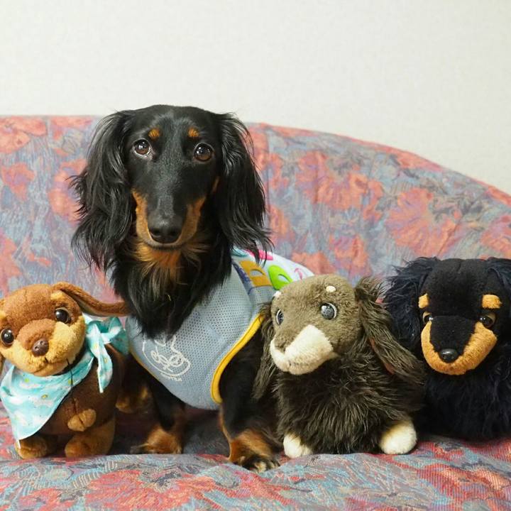 Dd4bb6c1 d24b 4cd5 af79 d4acd14d8b78