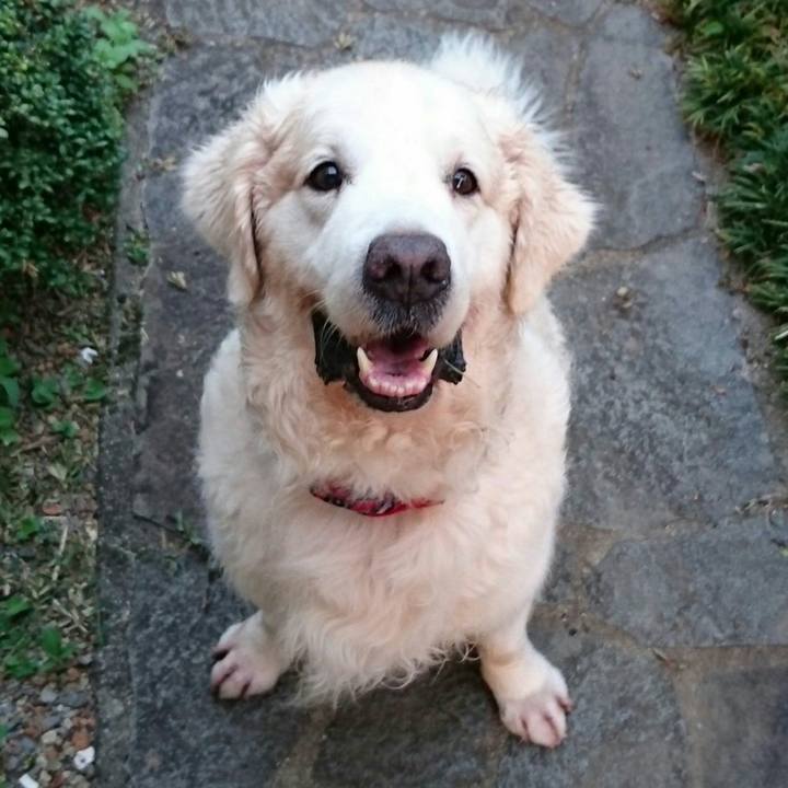 Dd4c1aec b774 4efe acff d693433aea7d