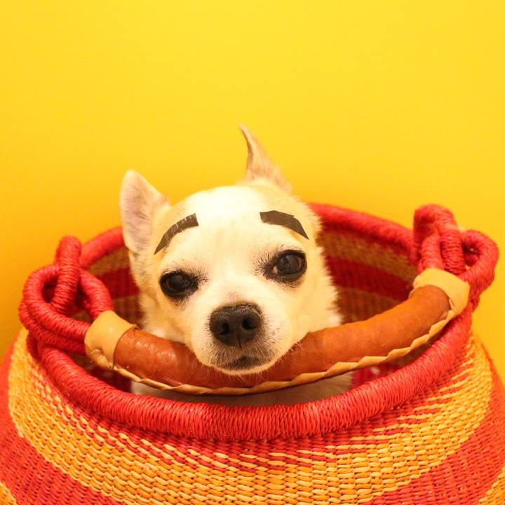 Dd4cce9d 4e19 4890 8ce5 7048a4e18ed5