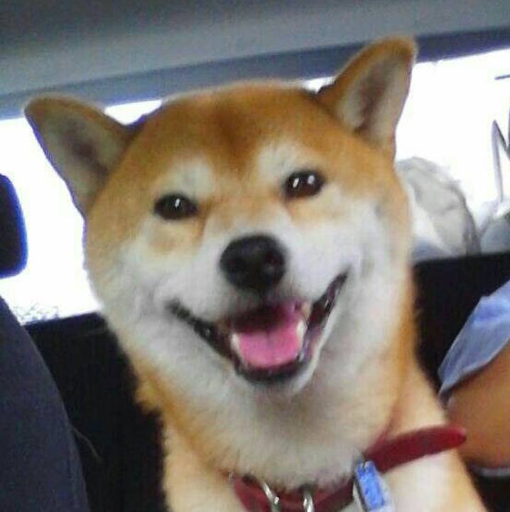 Dd4dad58 bfde 4908 a979 7637f70fdd55