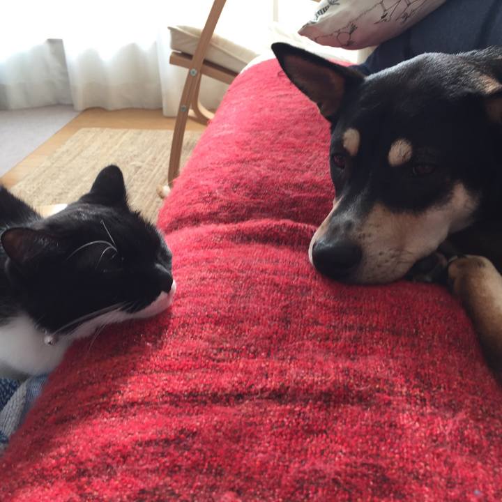 Dd4dd039 7436 4c96 b9dc 9f469e8ee3e4