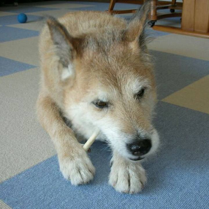 Dd4dd2a3 fd44 40f3 9753 c8a3d7e28b74