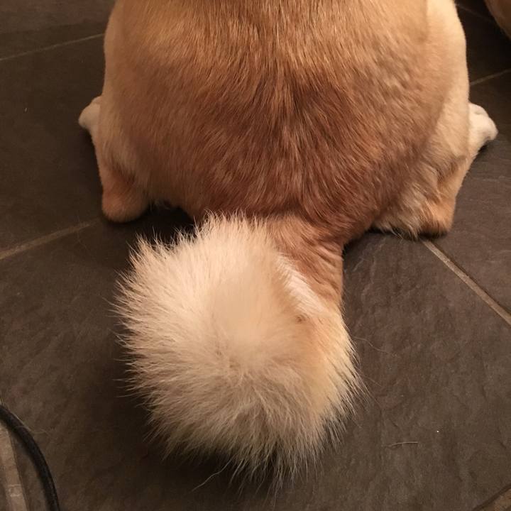 Dd4e3131 1edd 4861 a9dc ab300bc82ee6