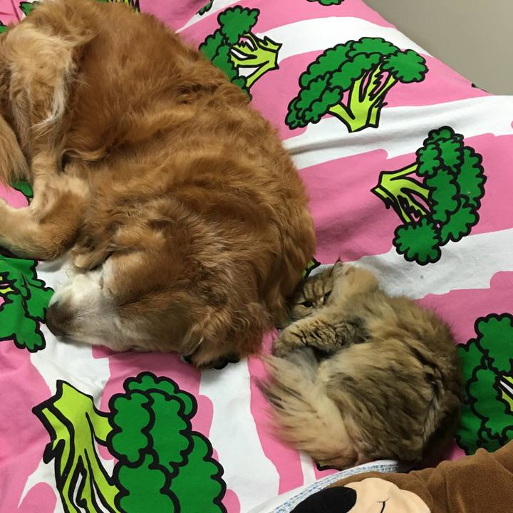 Dd4e3c80 9331 4bb4 962f 2ec10cd7e486