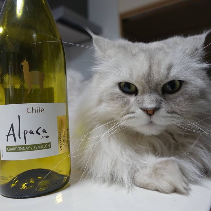 Dd4e57ca 4c8c 406a ad05 8ee519eb4747