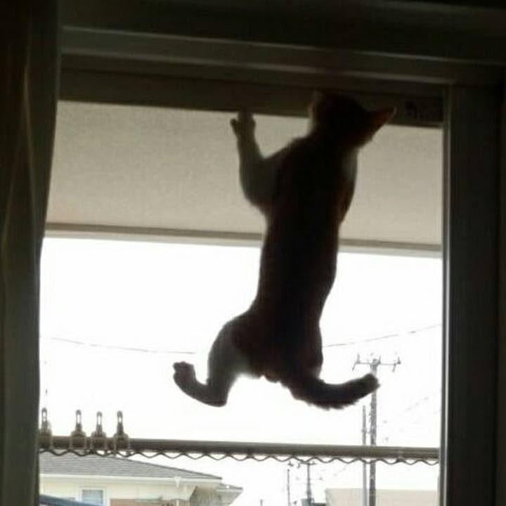 Dd4ee22e 7edc 4b48 96ab 748117cd20a3