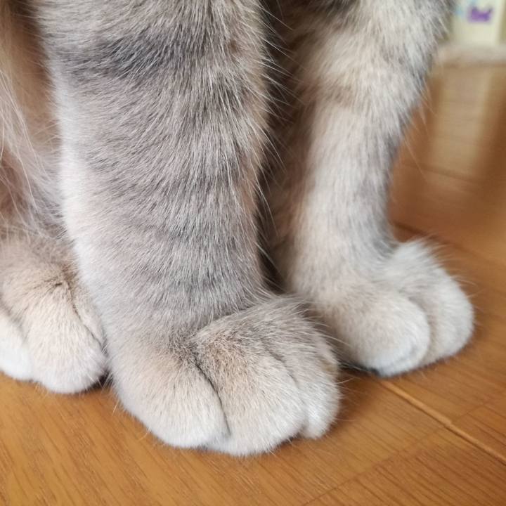 Dd4f365e 60fd 419b a181 088dea3f086d