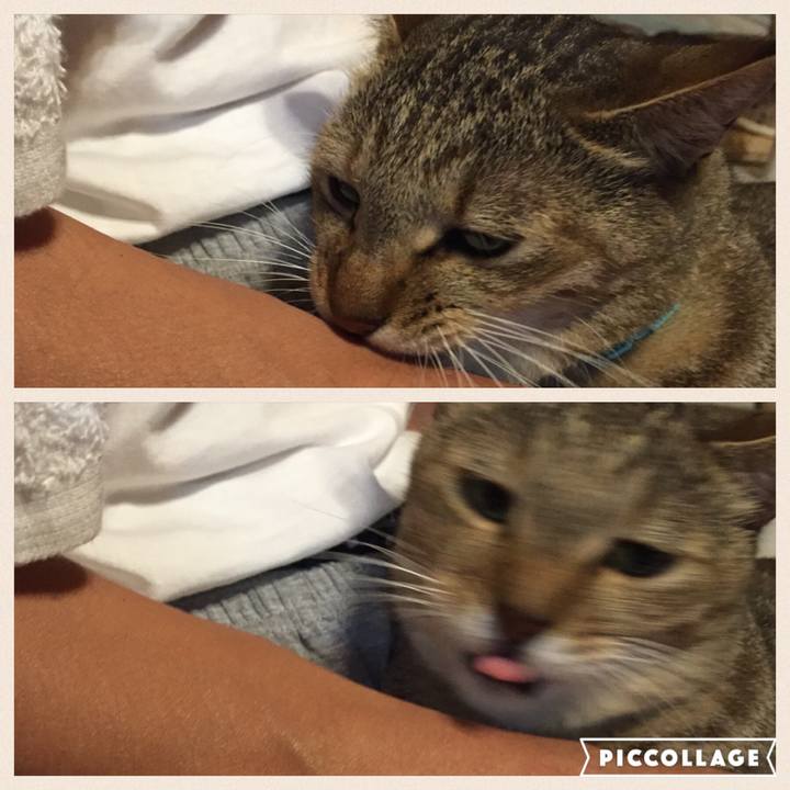 Dd4f45d1 6bb7 4549 931a 445ff4e27dac