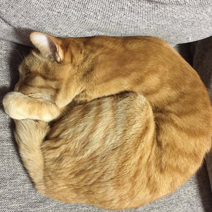 Dd4f9e46 54ce 4e36 8df4 60d442d9600f