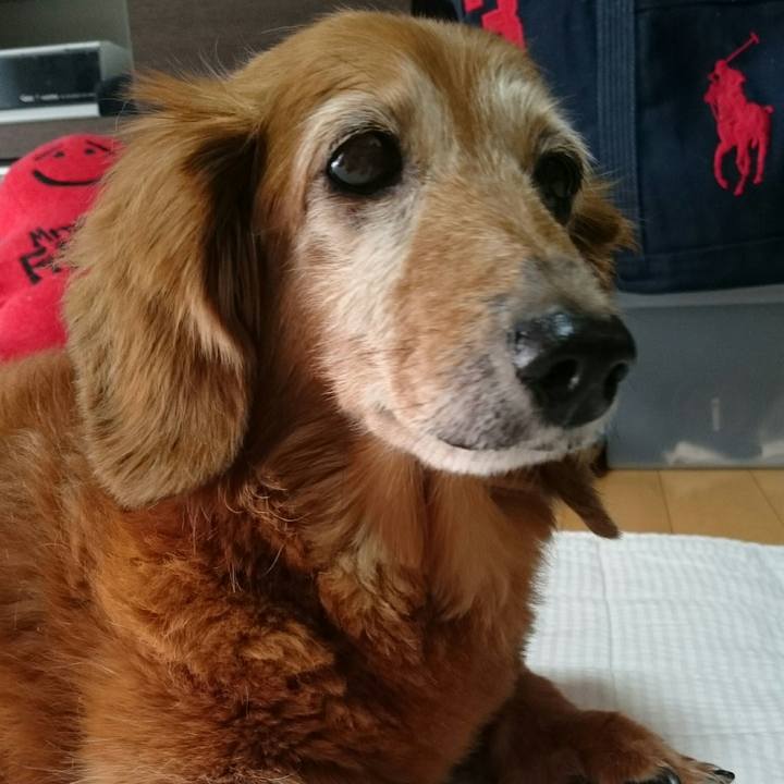 Dd502f9d 9c87 431c 8d06 6d1e9ecd5ba0