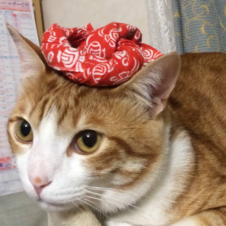 Dd503a53 5ab3 4c00 9154 7477f5b0ac78