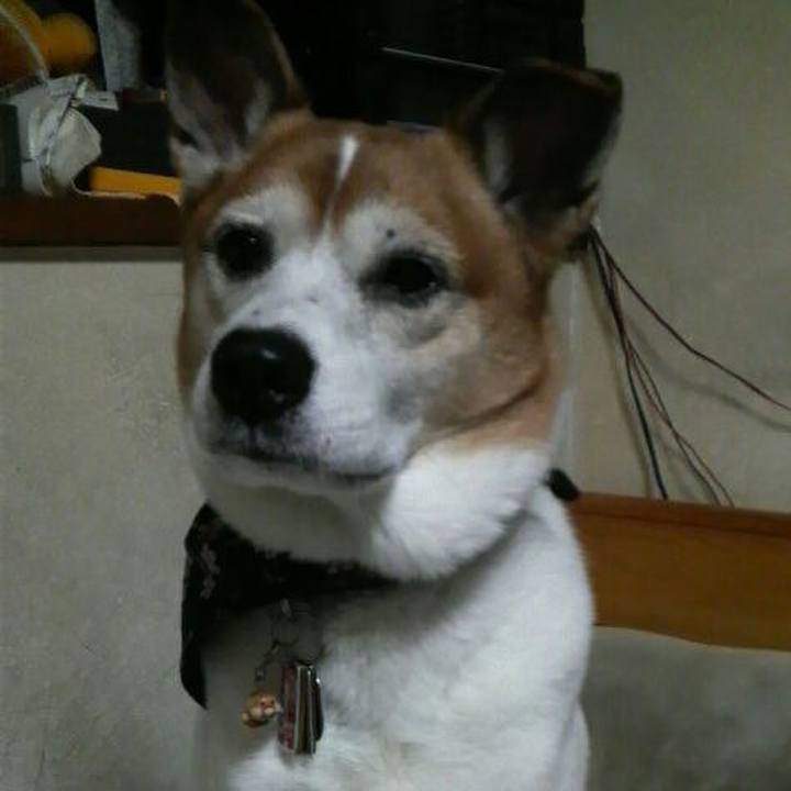 Dd507791 0e64 4a1a a5c5 23d812a3ec5a