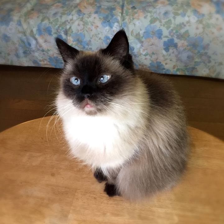 Dd50dbe4 fcf9 4683 b760 f0061a247405