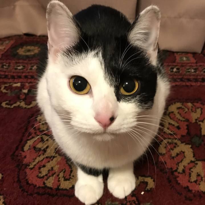 Dd51254e 7807 4000 bbd7 dac11ce86226