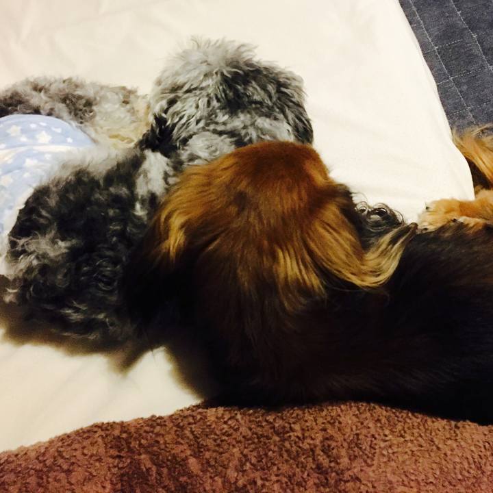 Dd516d69 715d 4dc1 91e6 ad888d2871f7