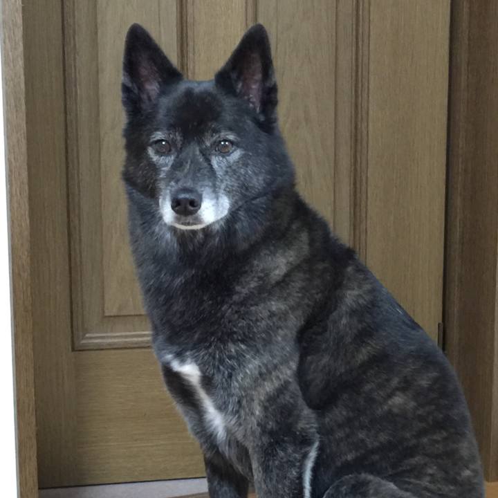 Dd5268bf 6fa2 4152 aeef 6b83e35137bf