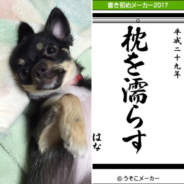 Dd5272be 761e 432e 812f 1e3ece40cf43