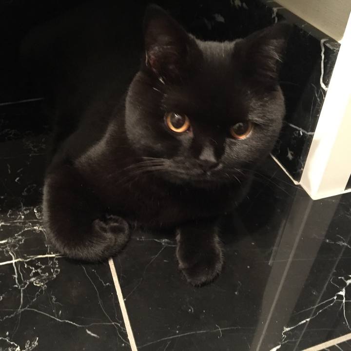 Dd527ca6 0413 4194 a203 e8a50deb1287