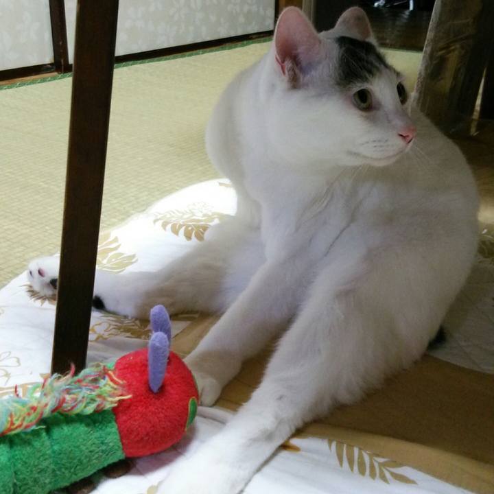 Dd5409bb 6466 47a0 81d8 01e898c94a59