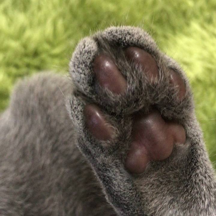 Dd545869 13a6 42fa 8278 117635e7bd60