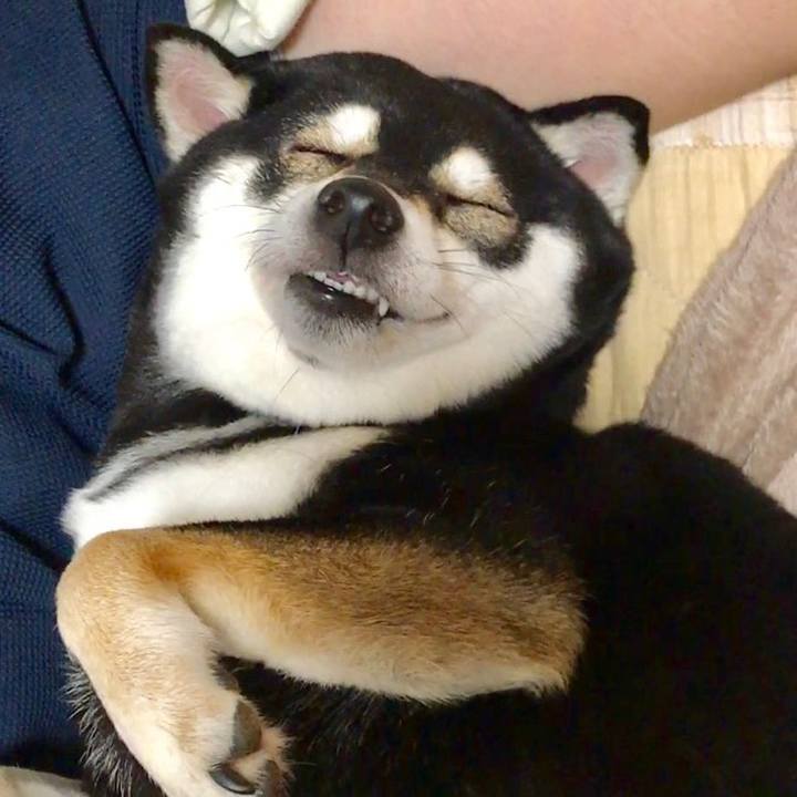 Dd556fc6 acb7 42c4 bef7 20c33b781357