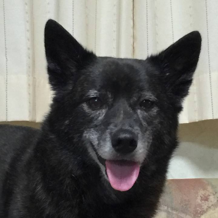 Dd5596a4 e4a1 4dbb 8380 120a21a60bcf