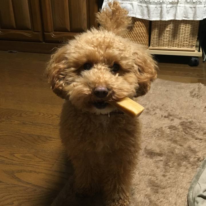 Dd55f5e1 097f 4825 ad61 8320b504b1c4