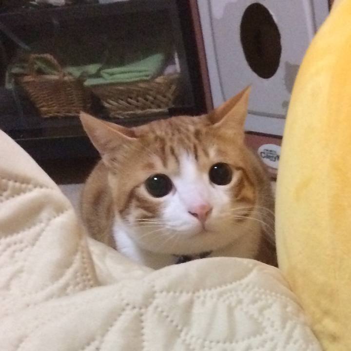 Dd55f816 20ed 47bf a426 5bab6199ba03