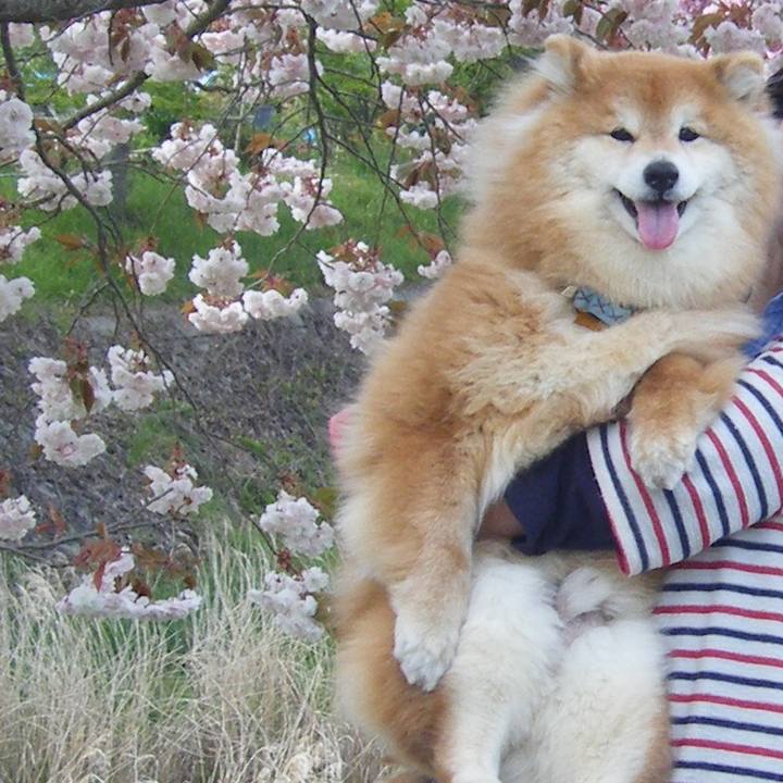 Dd565af7 a40d 4794 a543 ab224380f9f3