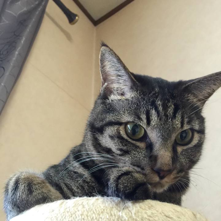 Dd56dfcf 5c51 4bf0 87c0 ed53419202f9