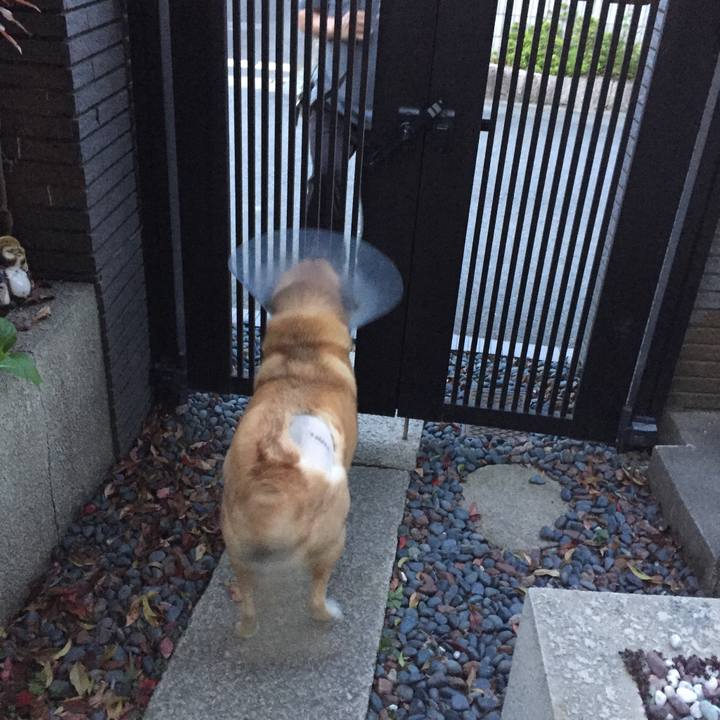 Dd56f2c3 f8e7 4a22 822a c94412e7a5a0