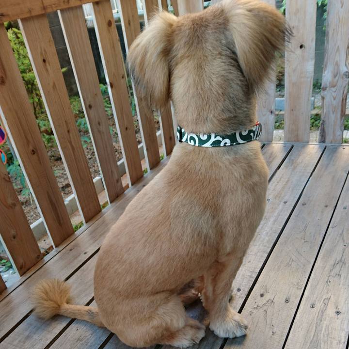 Dd56f5ee 59cd 478f bff7 75929c013b2c