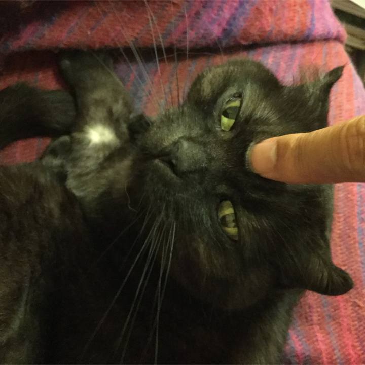 Dd5765f9 1b41 4ad9 90ed eca8d2d2dae7