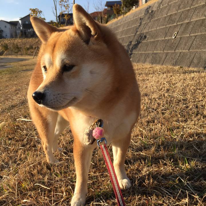 Dd578dd9 c649 45ae 87dd 671317832471