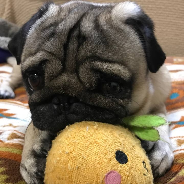 Dd57d1c1 6538 4977 8b77 0350f73a4ef3