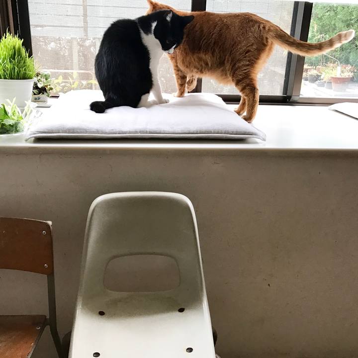 Dd57f777 705c 4327 9d32 8d1fec928573