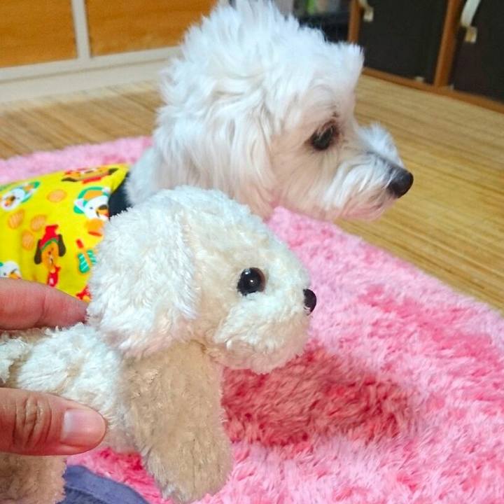 Dd58eb8f a087 4b0f 8606 10fc15d0f456