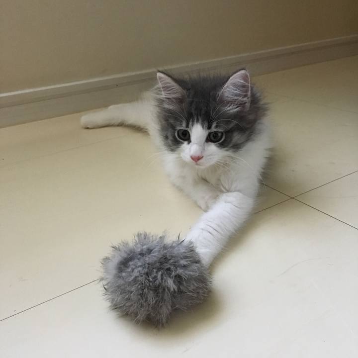 Dd594075 34e5 43a5 bcff e94fb6ff8cbe