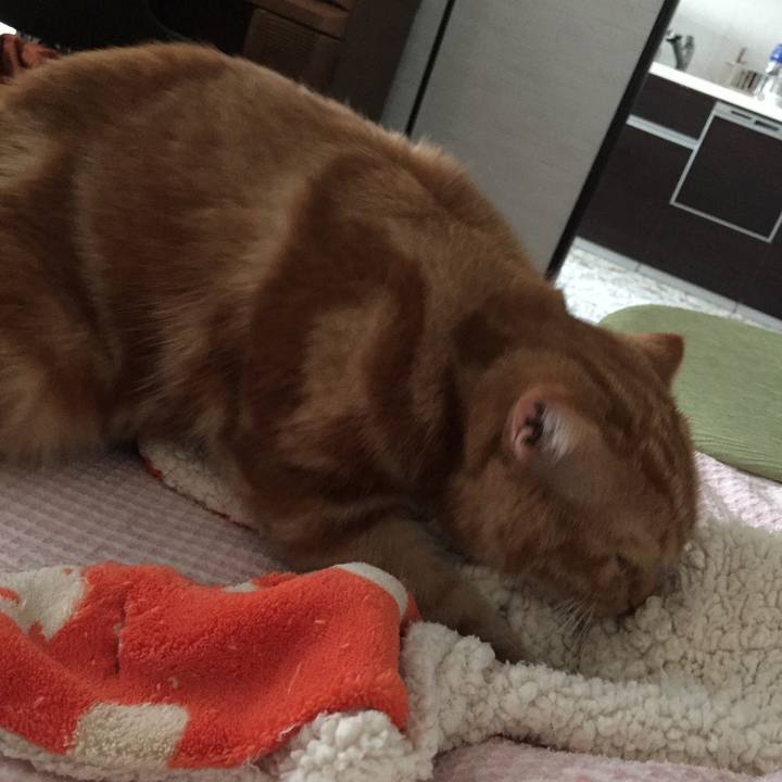 Dd597c40 004e 4c2a a390 7aac0ce5e007