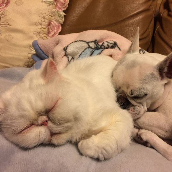 Dd599f1e 2c1f 4a86 8c8d 9199765b0d54